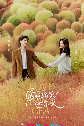 网站有单纯做seo什么价格